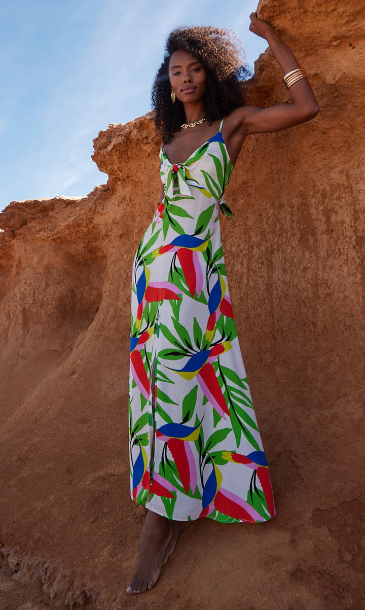 Blossom Dress in Humming Bird White